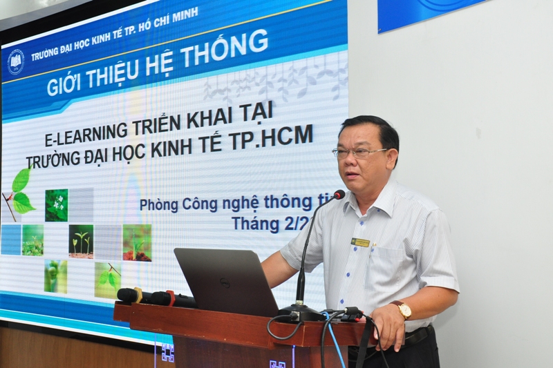 cá cược thể thao hul city